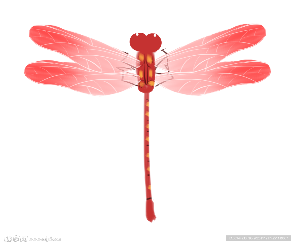 蜻蜓