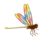 蜻蜓