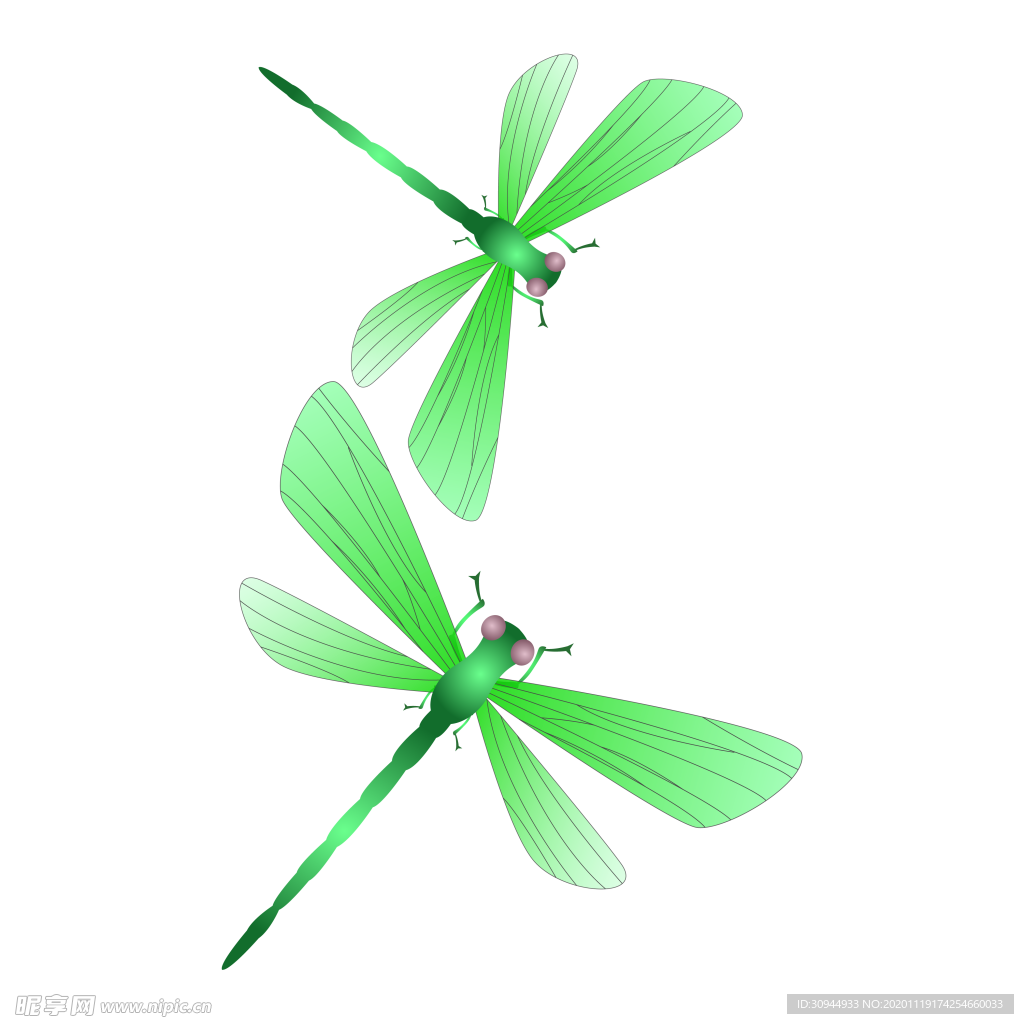 蜻蜓