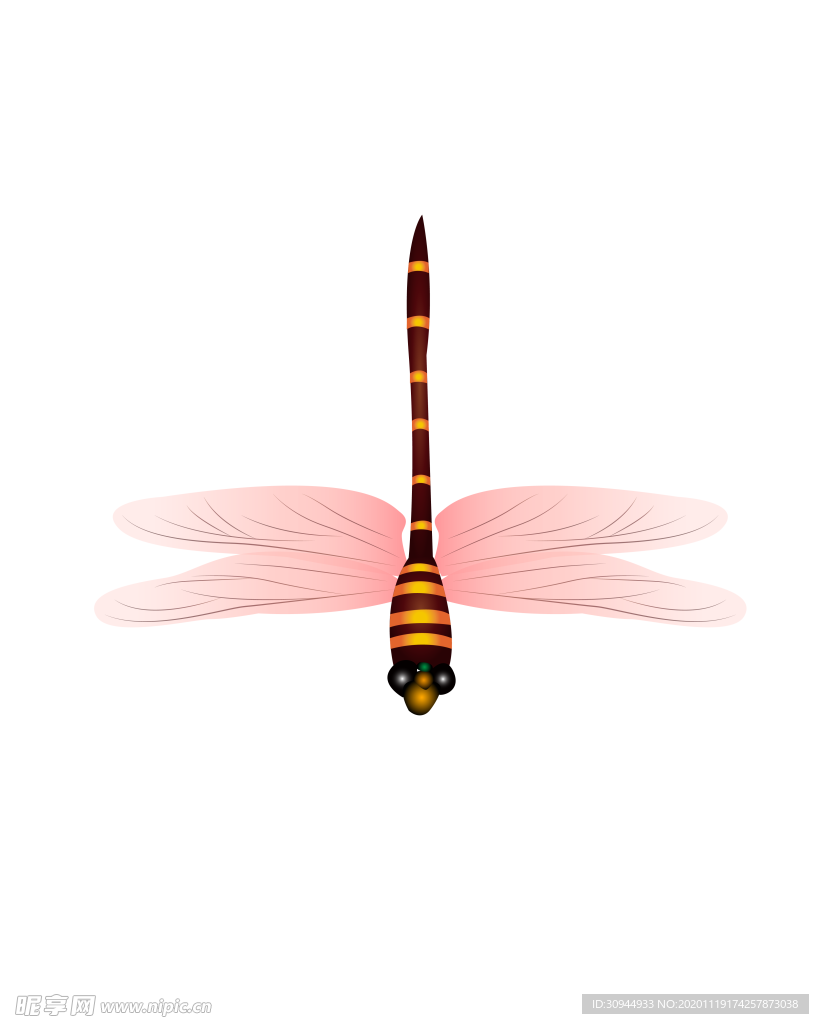 蜻蜓