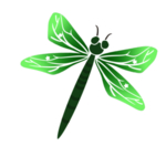 蜻蜓