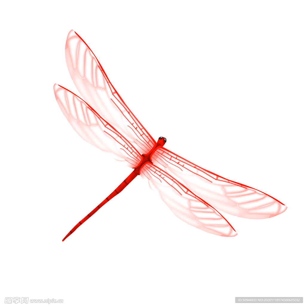 蜻蜓