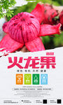 时尚大气水果海报设计
