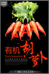 创意有机蔬菜宣传海报之胡萝卜