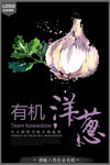 时尚创意有机蔬菜宣传海报之洋葱