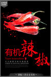 有机蔬菜宣传海报
