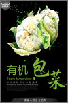 有机蔬菜宣传海报