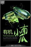 有机蔬菜宣传海报