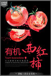 有机蔬菜宣传海报