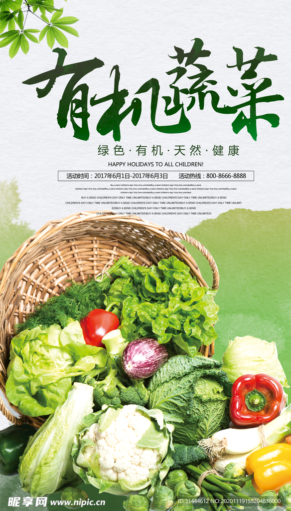 时尚大气有机蔬菜宣传海报