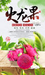 时尚新鲜有机水果海报火龙果