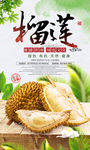 时尚新鲜有机水果海报榴莲