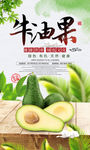 时尚新鲜有机水果海报牛油果