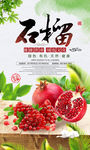 时尚新鲜有机水果海报石榴