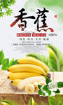 时尚新鲜有机水果海报香蕉