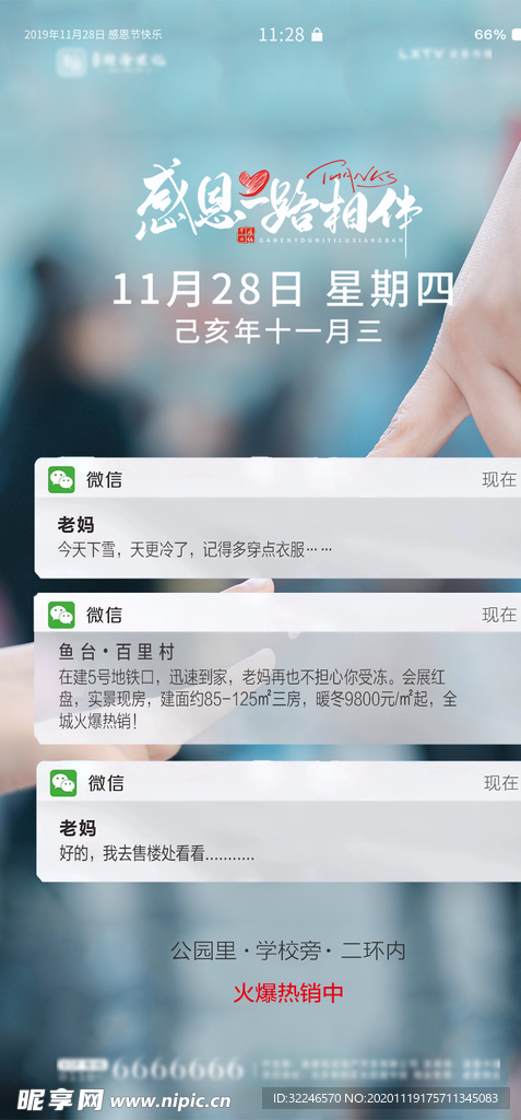 感恩节