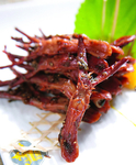 鸭舌