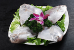 海鲜配料海昌鱼