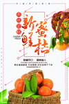新鲜蜜桔