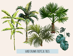 热带植物