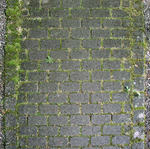 小路地面