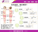 瘦邦脂肪分布图
