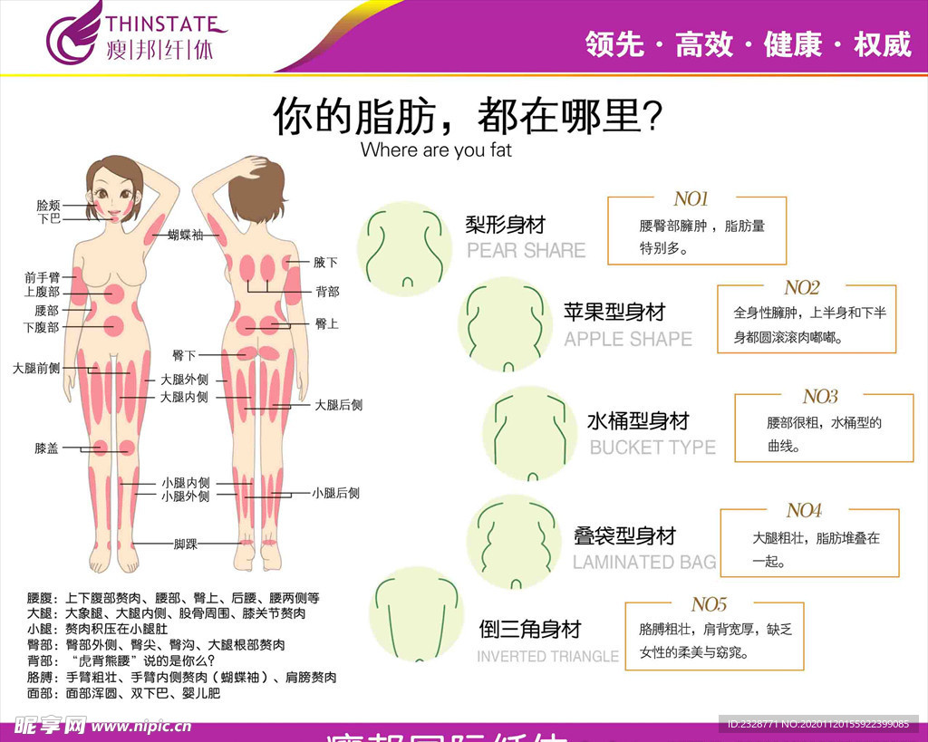 瘦邦脂肪分布图