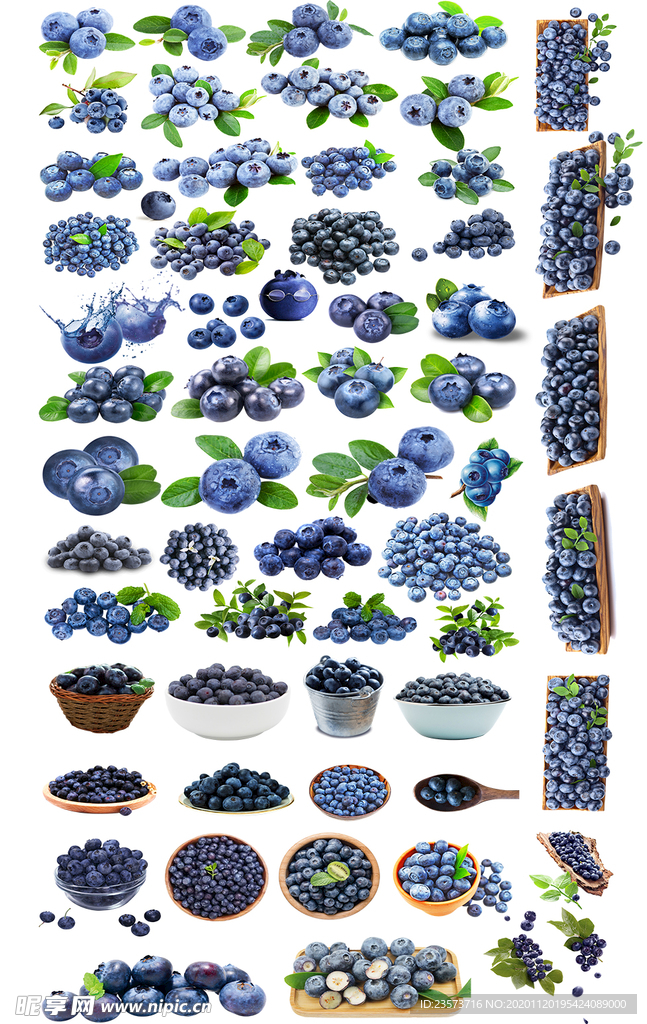 蓝莓免抠图汇总