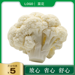 菜牌