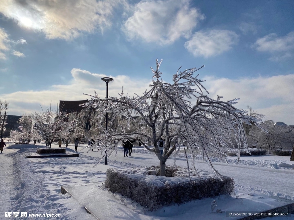 雪景