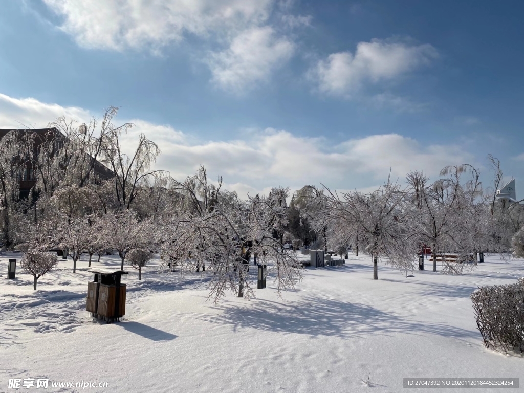 雪景