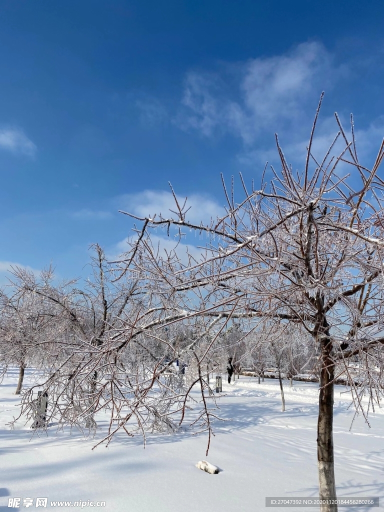 雪景