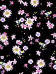 小碎花