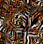 斑马纹