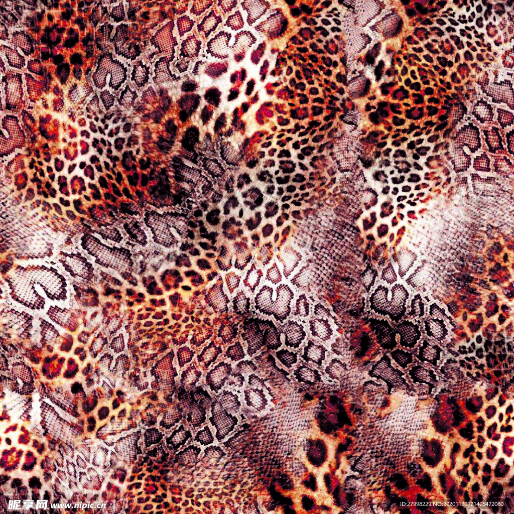 Cheetah 4k Wallpapers Top Free Cheetah 4k Backgrounds - vrogue.co