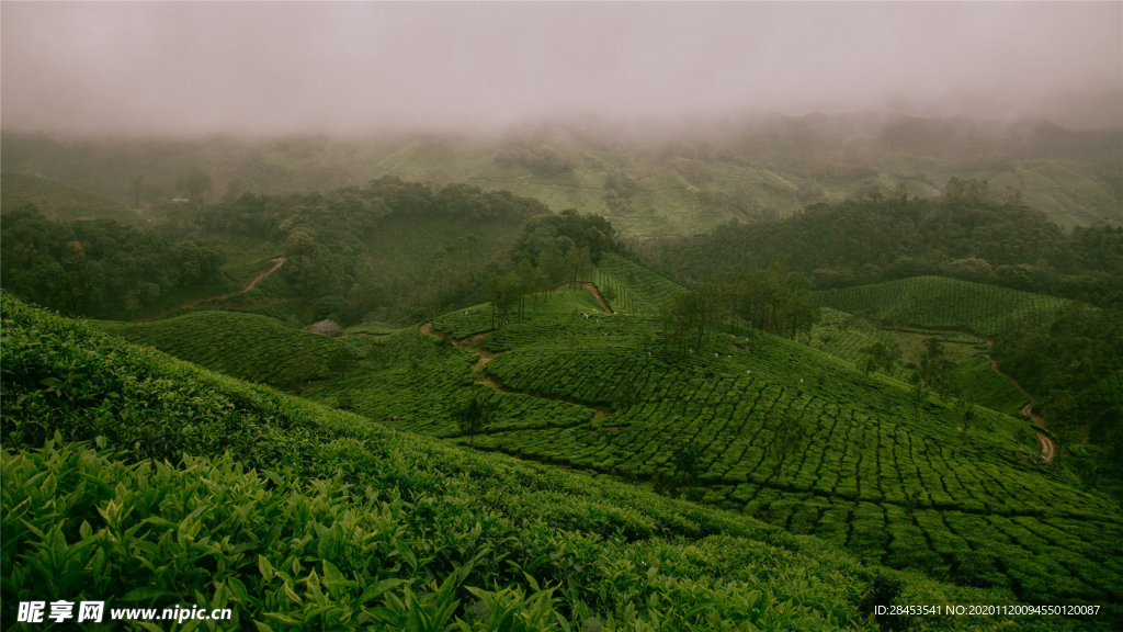 风景