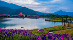 风景