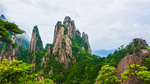 风景