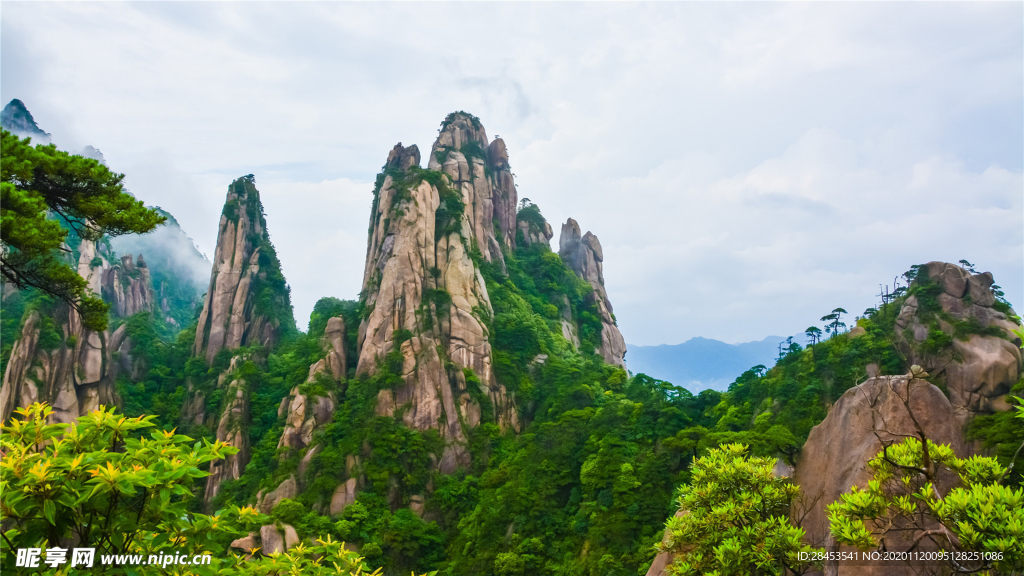 风景