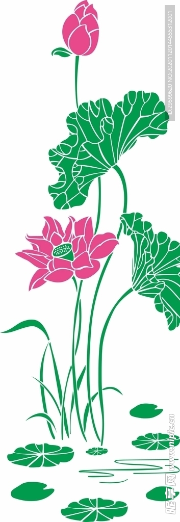 荷花矢量图