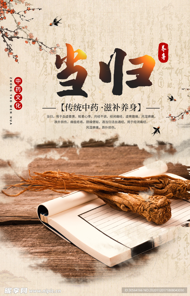当归药材传统中医海报素材