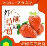 草莓主图