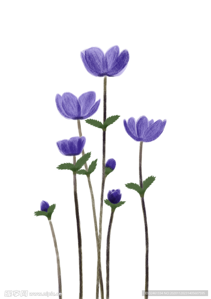 一丛紫色小花
