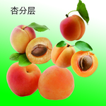 杏