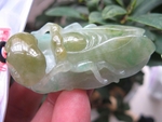玉蝉