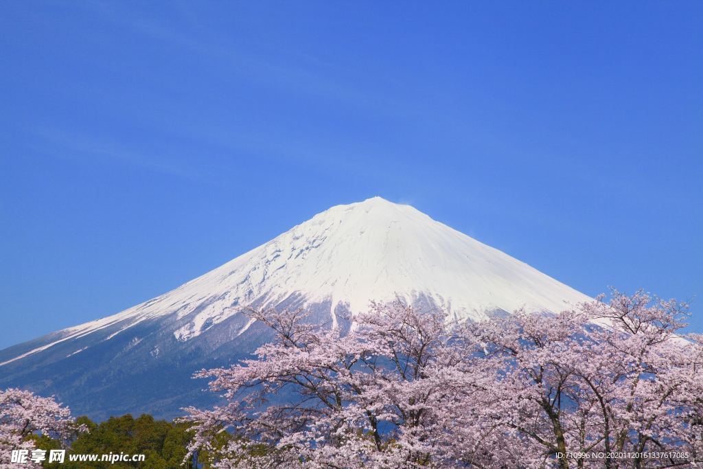 日本富士山