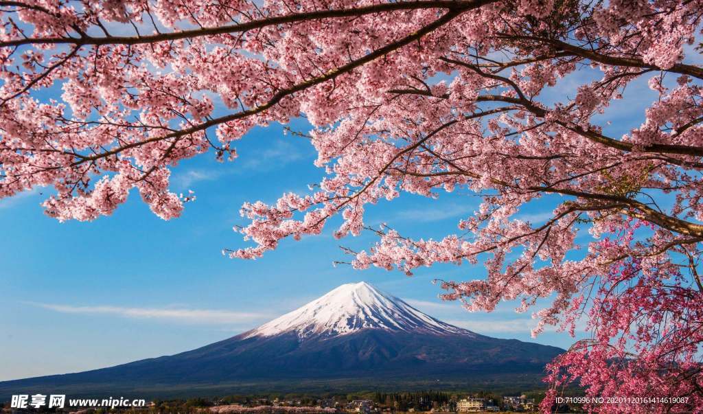 日本富士山