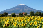 日本富士山