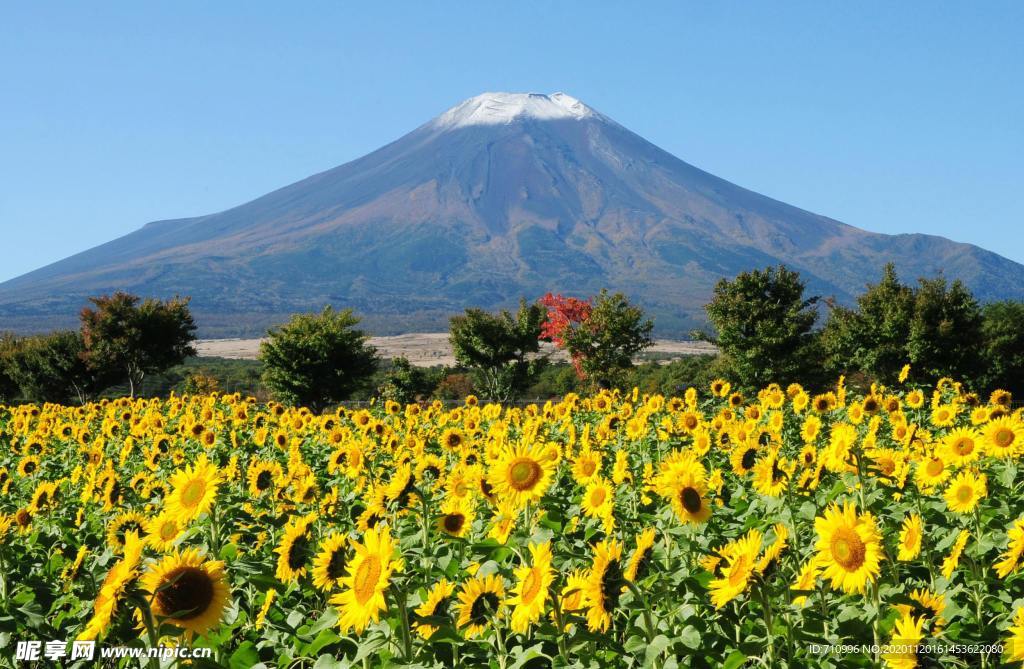 日本富士山