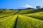 日本富士山